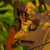 جویای کار خانم هستم