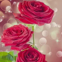 نیاز ب کار در منزل دارم