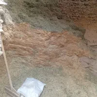 فروش کاه سفید وکاه یونجه فوری