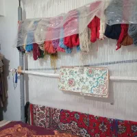 قالی دستبا ف ۶متری با دار. قالی وخامه|فرش|شازند, |دیوار