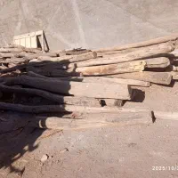 خرید چوب ضایعات|خدمات باغبانی و درختکاری|خرمدره, |دیوار