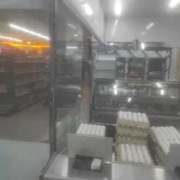 غرفه-ماهی-فروشگاه-بزرگ-شهر-من