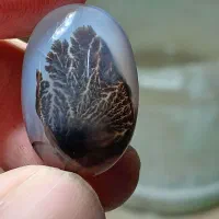 نگین شجرقائن|زیورآلات و اکسسوری|تربتحیدریه, طالقانی|دیوار