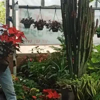 فروشنده گلخانه