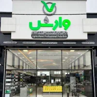 حسابدار حرفه ایی