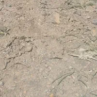 زمین-شهرک-صنعتی-2