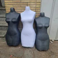 مایکن  طبق عکس