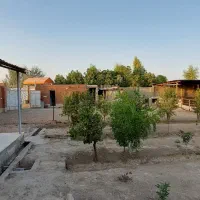 باغ ۱۰۰۰ متر کوچه گلخانه خیابان سروش قهجاورستان|فروش خانه و ویلا|اصفهان, قهجاورستان|دیوار