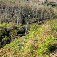 1500متر زمین 800مترمسکونی 100متر پروانه ساخت|فروش زمین و ملک کلنگی|احمدسرگوراب, |دیوار