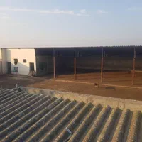 دامداری صنعتی|فروش دفتر صنعتی، کشاورزی، تجاری|گنبد کاووس, |دیوار