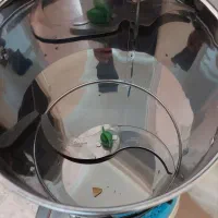 سبزی خورد کن نو مارک آریا ۲کیلویی|خردکن، آسیاب، غذاساز|نظرآباد, نظرآباد|دیوار