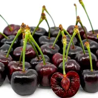 فروش نهال گیلاس تکدانه مشهد|خدمات باغبانی و درختکاری|قزوین, |دیوار