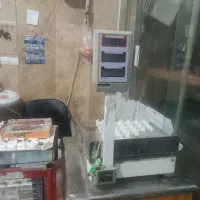 لوازم سوپرمارکت|فروشگاه و مغازه|فشاپویه, |دیوار