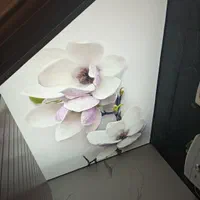 سقف کشسان،کناف،شبکه