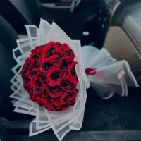 گل روبانی