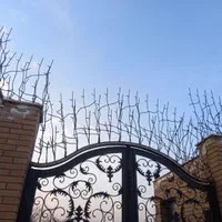 بورس حفاظ روی دیوار