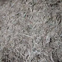 علوفه همه گیاه