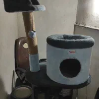 درخت گربه واسکرچر برندKedipek نو و استفاده نشده