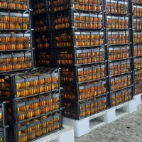 خرید و فروش پالت پلاستیکی|عمده‌فروشی|شیرگاه, |دیوار