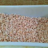 پخش میگو دریایی|خوردنی و آشامیدنی|اهواز, شهرک نفت|دیوار