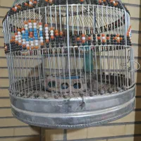 کولر و تلویزیون و دو عدد قفس و طرقه|تلویزیون و پروژکتور|قم, نیروگاه|دیوار