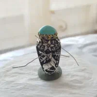 انگشتر فیروزه عجمی نیشابور رکاب قلم سه بعدی