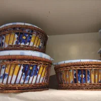 ظروف گل پنبه