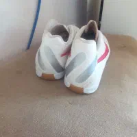 فروش کفش|کیف، کفش، کمربند|گنبد کاووس, |دیوار