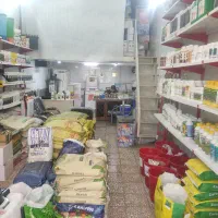 کودمناسب محصول بیشتر