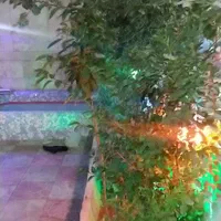 اجاره خانه ویلایی دربست|اجارهٔ خانه و ویلا|صباشهر, |دیوار