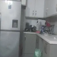 خانه به یک هم خانه جهت کار در منزل داده میشود
