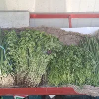واگذاری-میوه-فروشی-کنار-مسجد