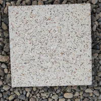 موزاییک سی در سی حیاطی اصفهان