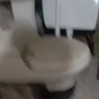 توالت فرنگی. روشویی. فلاش تانک. آینه و جا مایعی|لوازم سرویس بهداشتی|زاهدان, |دیوار