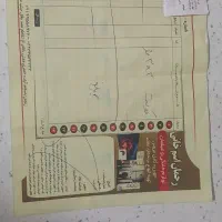 پالاز موکت|موکت|زنجان, |دیوار