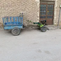 تیلر دیانا