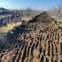 مینی بیل مکانیکی کانال خاکبرداری چالکود|خدمات باغبانی و درختکاری|رفسنجان, |دیوار