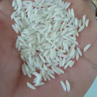 برنج هاشمی سورتینگ شده