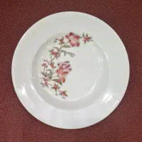 کرایه ظروف|ظروف سرو و پذیرایی|قم, پردیسان|دیوار