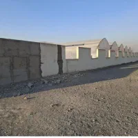 زمین