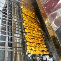 شاطر ماهر یا تیمه ماهر برای کبابی