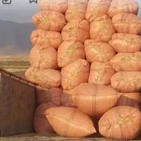 فروش کاه جو دیم