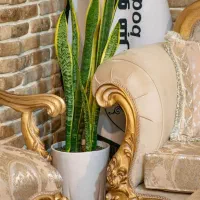 مبل و میز نهارخوری|مبلمان خانگی و میز عسلی|کرج, گوهردشت|دیوار