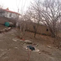 اجاره ویلایی روستای کیاندشت(کبریت میان)|اجارهٔ خانه و ویلا|محمدیه-قزوین, |دیوار