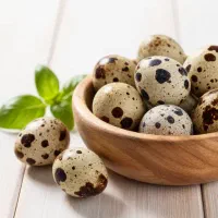 تخم بلدرچین تازه روزانه بدون نطفه .