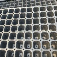 سینی نشا ۱۰۵ حفره