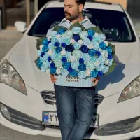 باکس مصنوعی