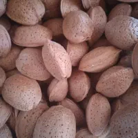 بادام‌سنگی‌‌۲۵۰۰۰۰‌تومان