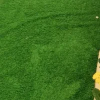 فروش چمن مصنوعی فنس چمنی نو