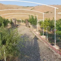 باغ|فروش دفتر صنعتی، کشاورزی، تجاری|دورود, |دیوار